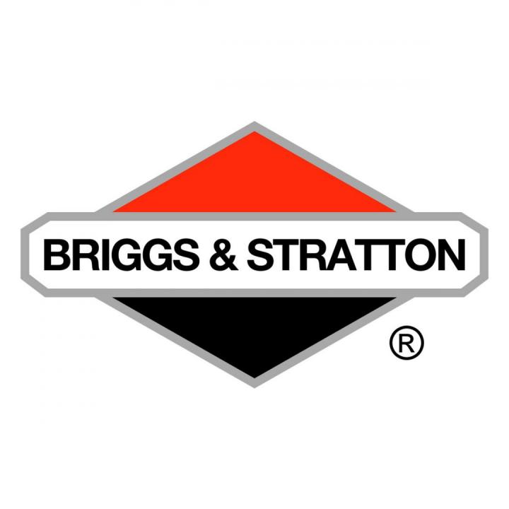 Logo Briggs & Stratton